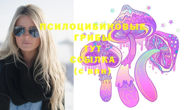 СК Покров