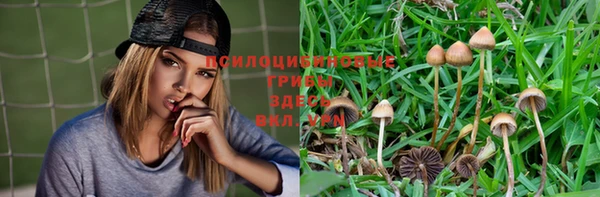 ALPHA PVP Кондопога
