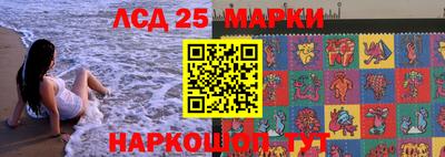гидропоника Жуковский