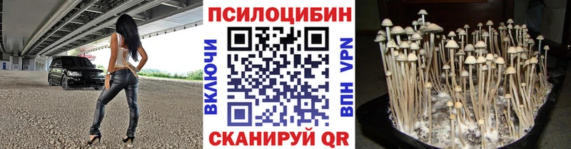 Псилоцибиновые грибы мицелий  Рузаевка 