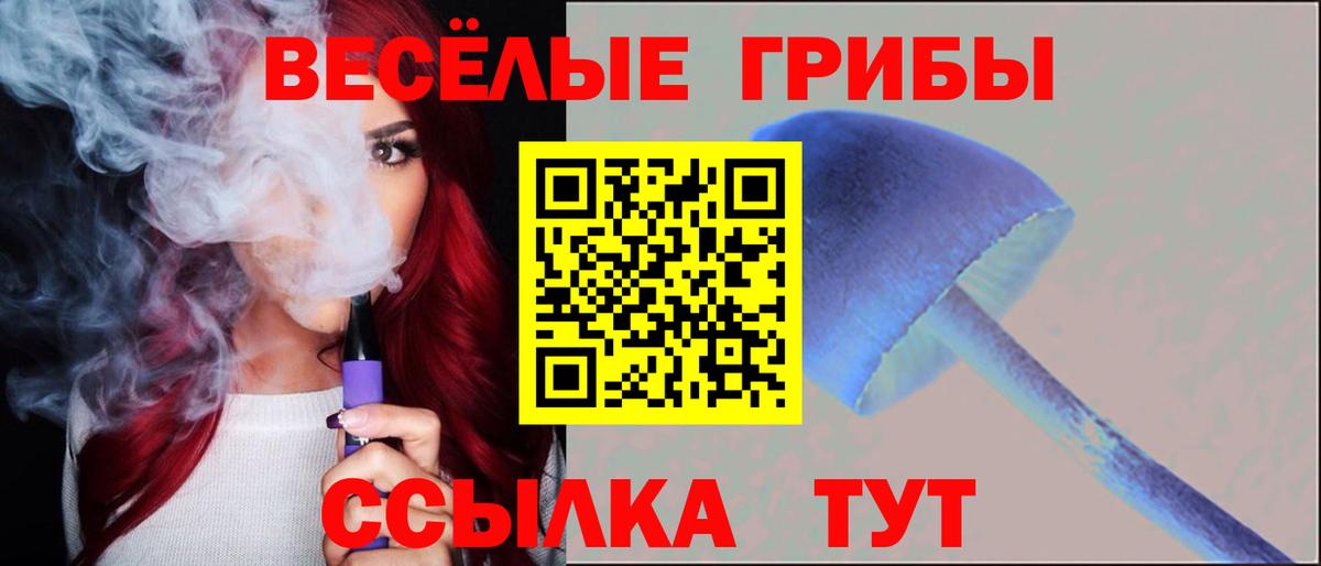Рузаевка  купить  цена  Вход с VPN  Псилоцибиновые грибы Cubensis 