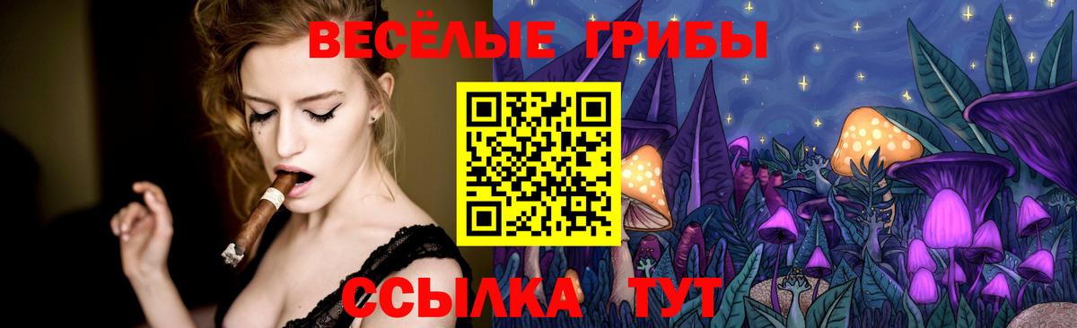 Галлюциногенные грибы Psilocybine cubensis Рузаевка