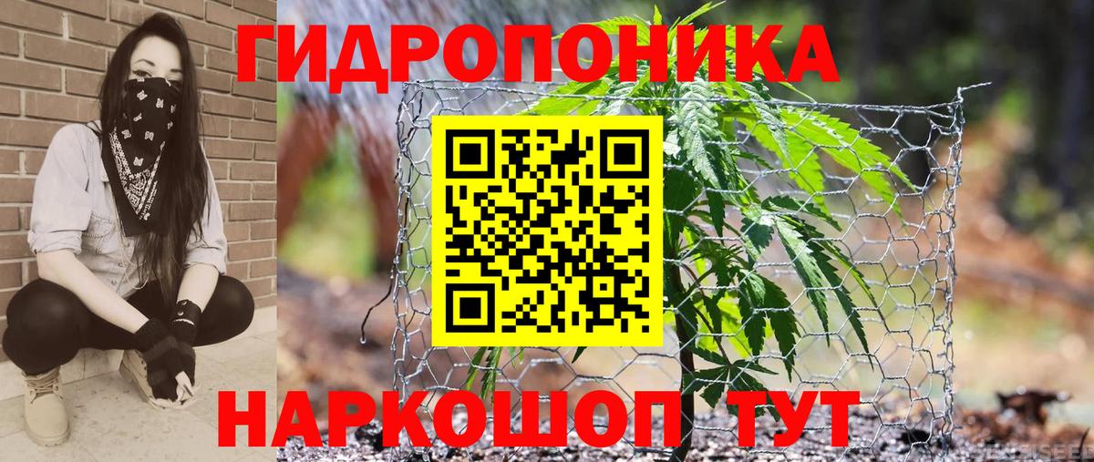 Канабис планчик Рузаевка